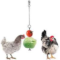 Hanging Feeder Toy for Chicken Large Birds Hens Vegetable Fruit Food Skewer Made of Stainless Steel